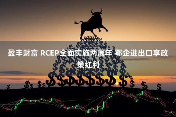 盈丰财富 RCEP全面实施两周年 鄂企进出口享政策红利
