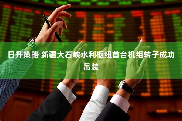 日升策略 新疆大石峡水利枢纽首台机组转子成功吊装