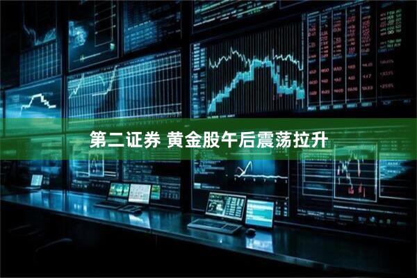 第二证券 黄金股午后震荡拉升