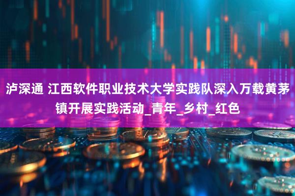 泸深通 江西软件职业技术大学实践队深入万载黄茅镇开展实践活动_青年_乡村_红色