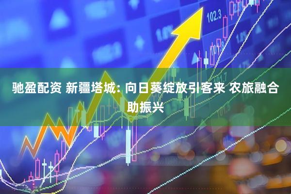 驰盈配资 新疆塔城: 向日葵绽放引客来 农旅融合助振兴