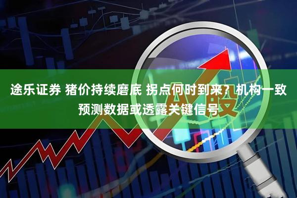 途乐证券 猪价持续磨底 拐点何时到来？机构一致预测数据或透露关键信号